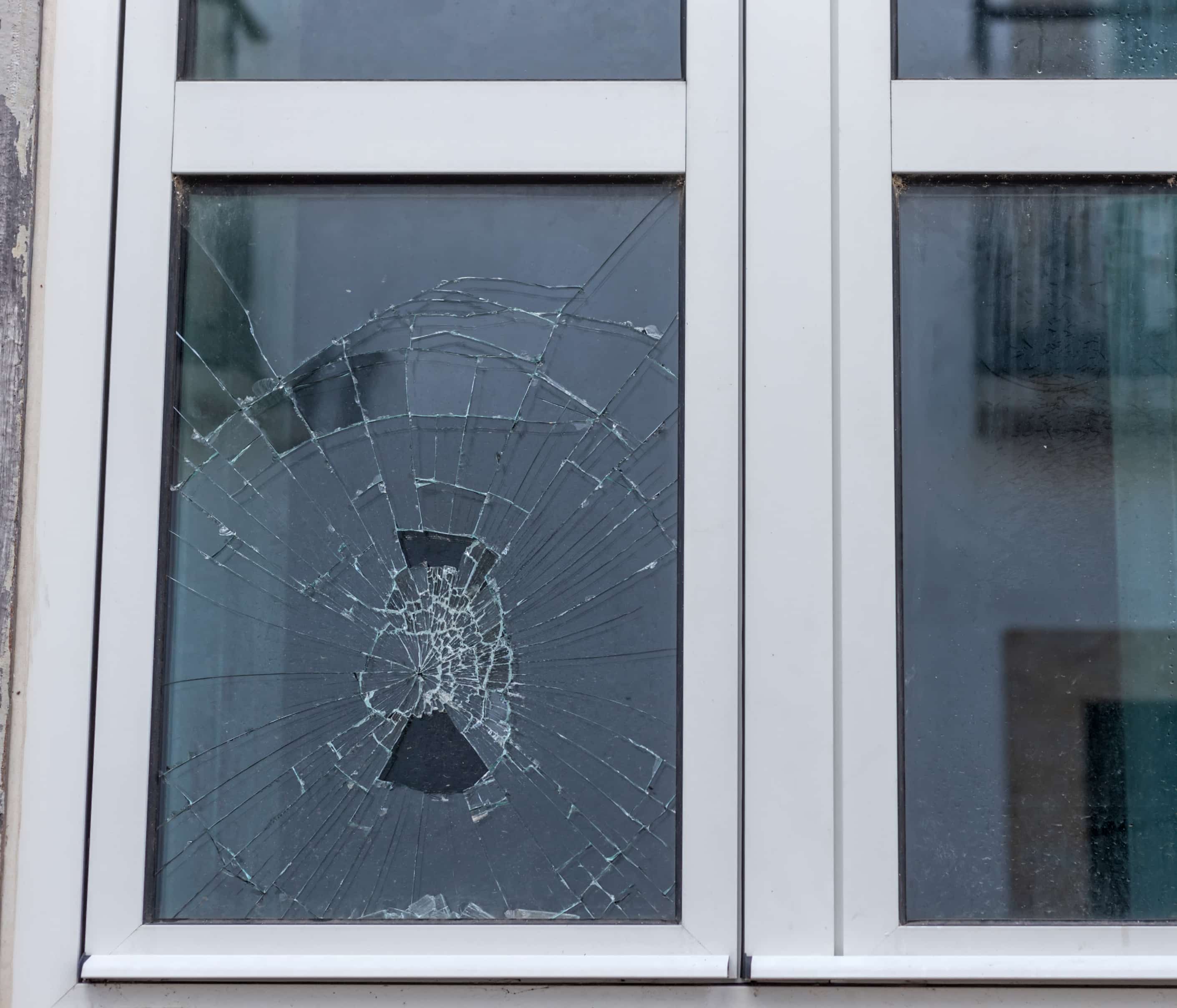 Terrorismo y vandalismo